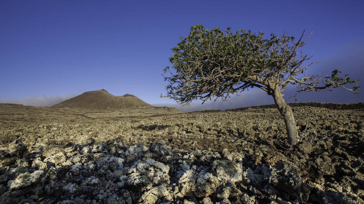 Un paisaje del interior de Fuerteventura.