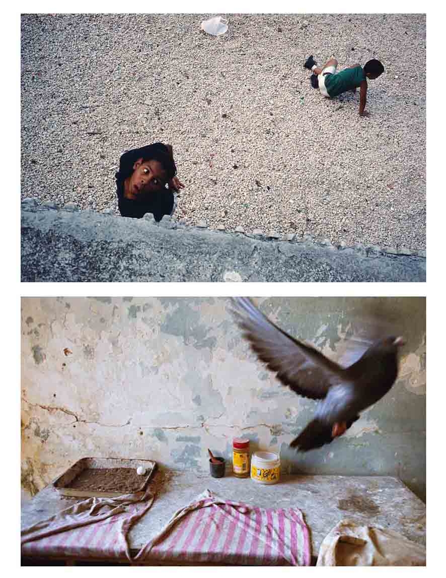 Fotografías tomadas en La Habana. Alex Webb fotografía personas (arriba) y Rebecca Norris animales (abajo)