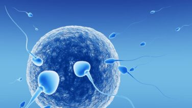 Nace el primer niño mediante la técnica de los tres 'padres'