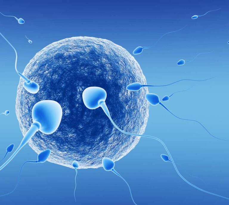 Nace el primer niño mediante la técnica de los tres 'padres'