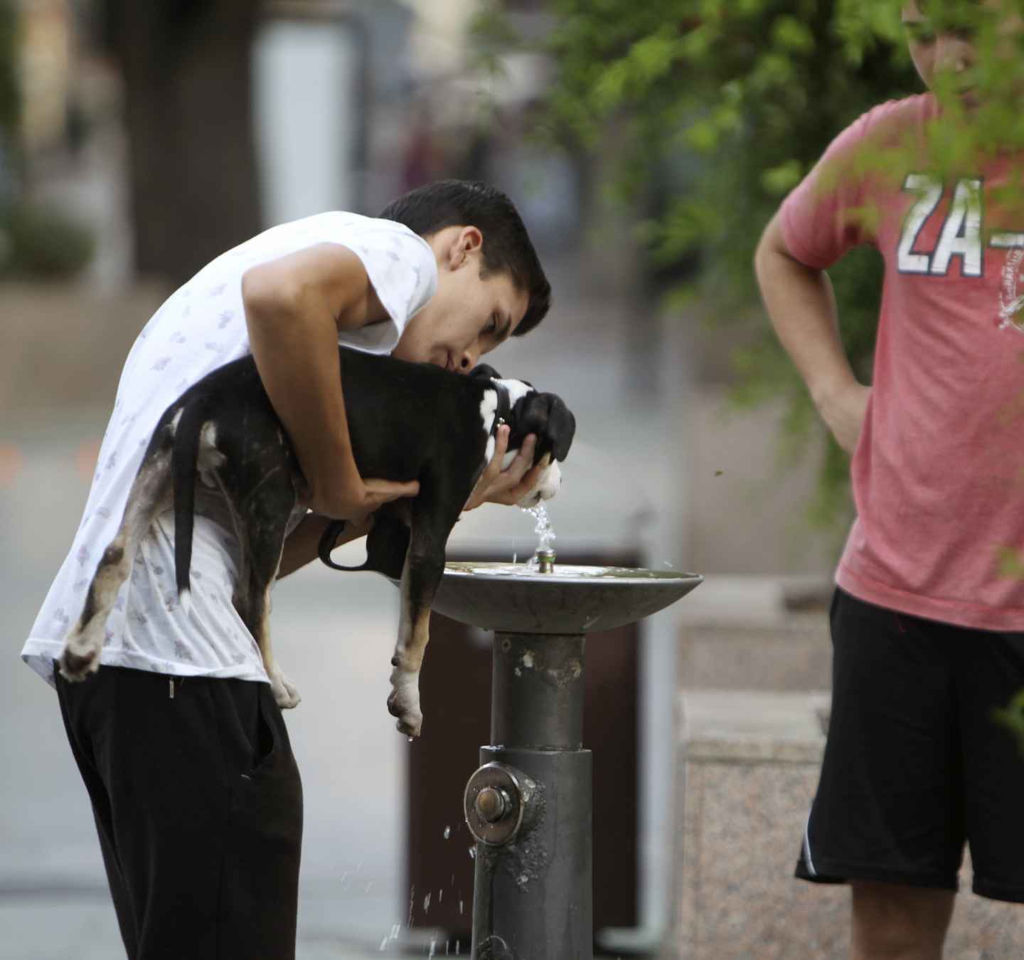 Llega el calor: el viernes las temperaturas alcanzarán los 37 grados