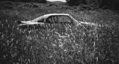 El viaje sin fin de Walter Astrada