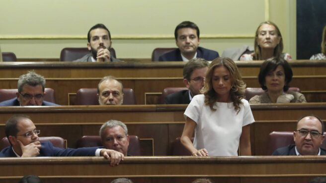 Susana Sumelzo, de pie, durante la votación de investidura.