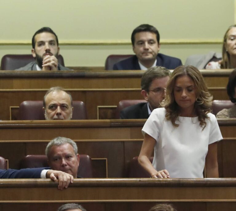 Las primarias rompen el grupo parlamentario del PSOE
