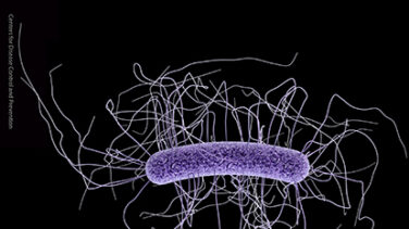 La amenaza invisible de las superbacterias: "Nadie está a salvo"