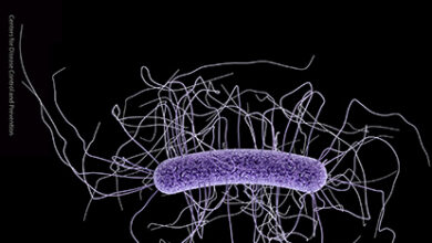 La amenaza invisible de las superbacterias: "Nadie está a salvo"