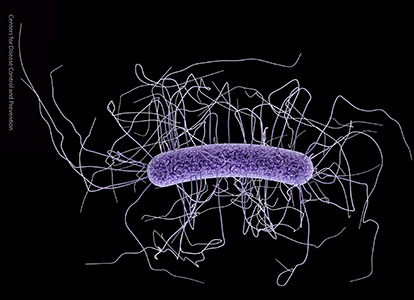 La amenaza invisible de las superbacterias: "Nadie está a salvo"