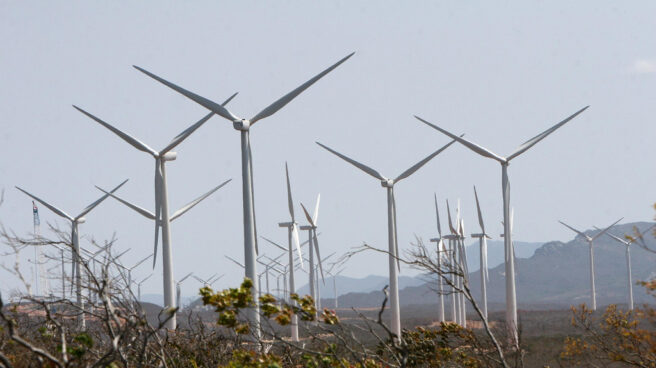 Forestalia vuelve a ganar a las grandes eléctricas en la ‘megasubasta’ de renovables