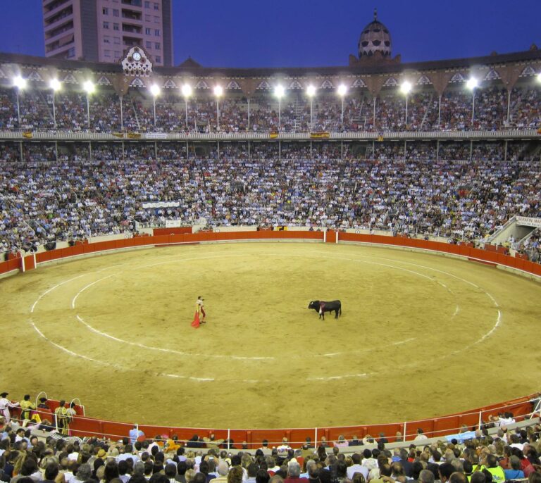 Un juez del TC critica a sus colegas por no defender los derechos de los animales