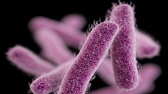 Las superbacterias ponen en jaque a la humanidad
