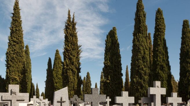 Cementerio en Guadalajara.