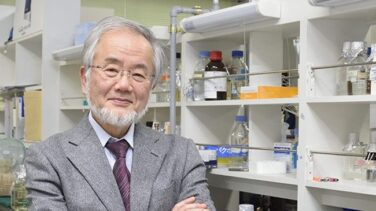 El reciclaje celular, Nobel de Medicina