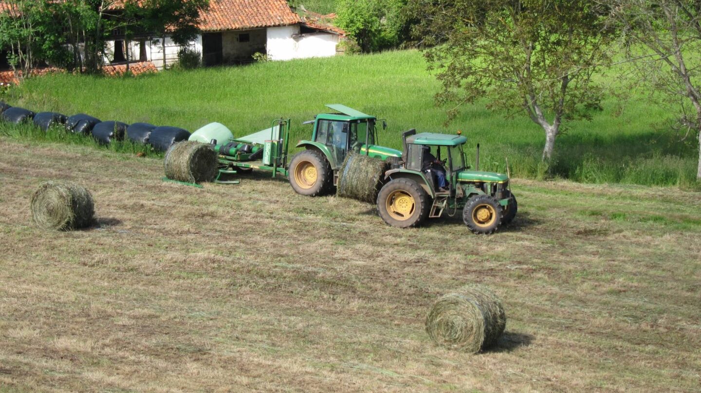 Vista aérea de un campo asturiano.