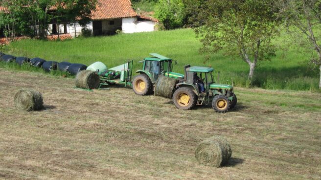 La falta de mano de obra obliga a triplicar las horas extra en la agricultura