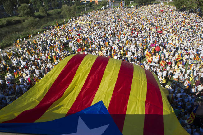 Estelada en una manifestación de la Diada del 11 de septiembre.