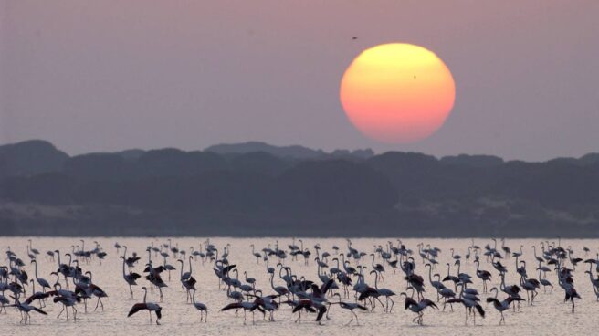 Parque Nacional de Doñana Parque Nacional de Doñana