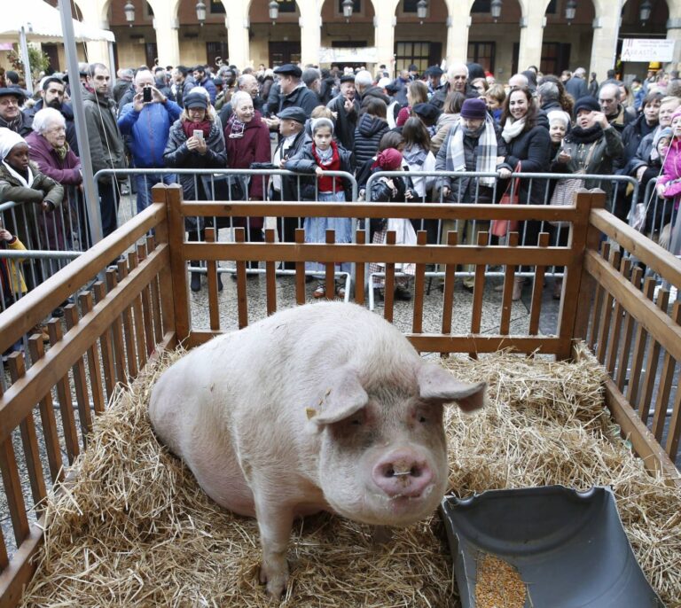 'Potxola', el otro 'premio gordo' de la Navidad