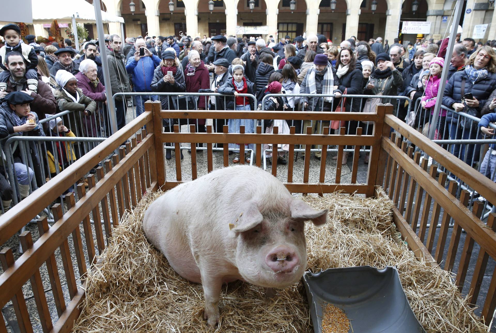 'Potxola', el otro 'premio gordo' de la Navidad