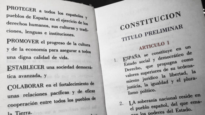Constitución Española. Constitución Española.