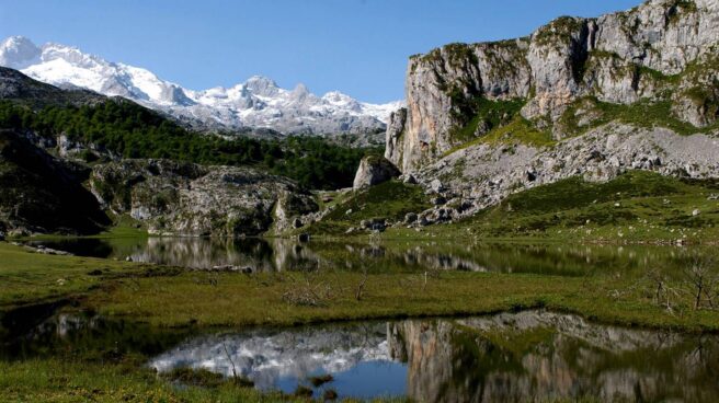 Parques Nacionales: cien años llenos de vida