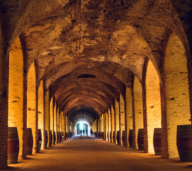 El vino ilustrado de Carlos III