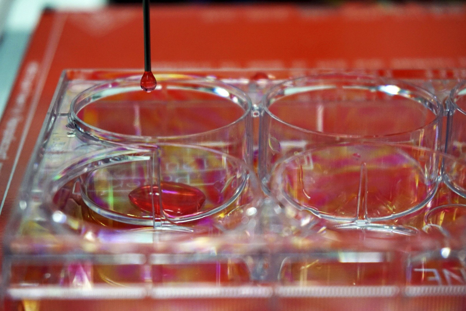 Un equipo de ciéntificos crea piel humana con una bioimpresora 3D.