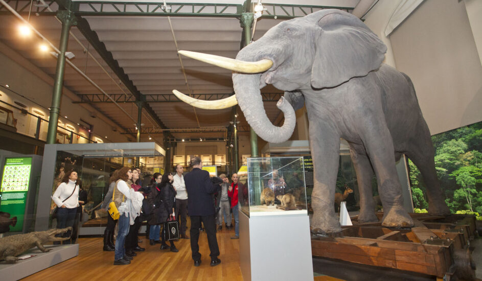 El Museo Nacional de Ciencias Naturales ofrece una visita guiada con picoteo al finalizar.