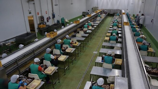 Trabajadoras en una empresa conservera.