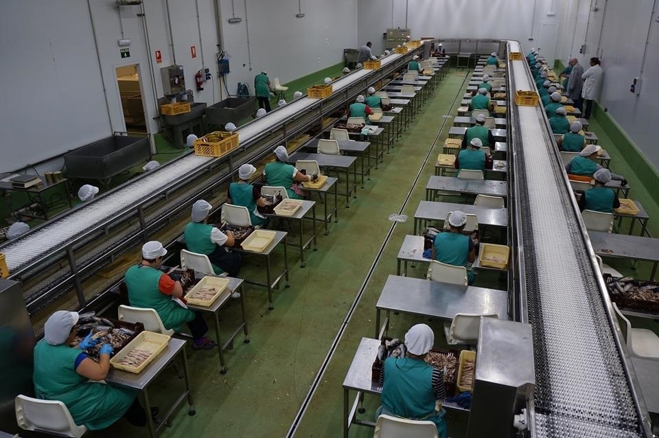 Trabajadoras en una empresa conservera.