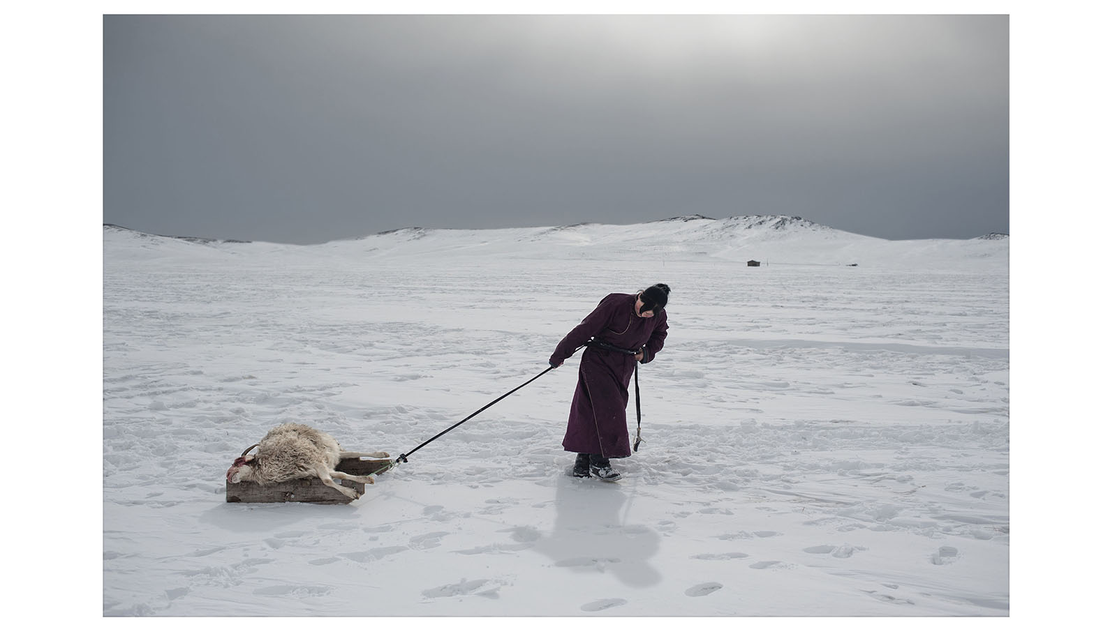 El trabajo de Grassani, encuadrado en una serie de diez imágenes, explora y transmite el impacto generado en la sociedad de Mongolia afectada por el cambio climático.