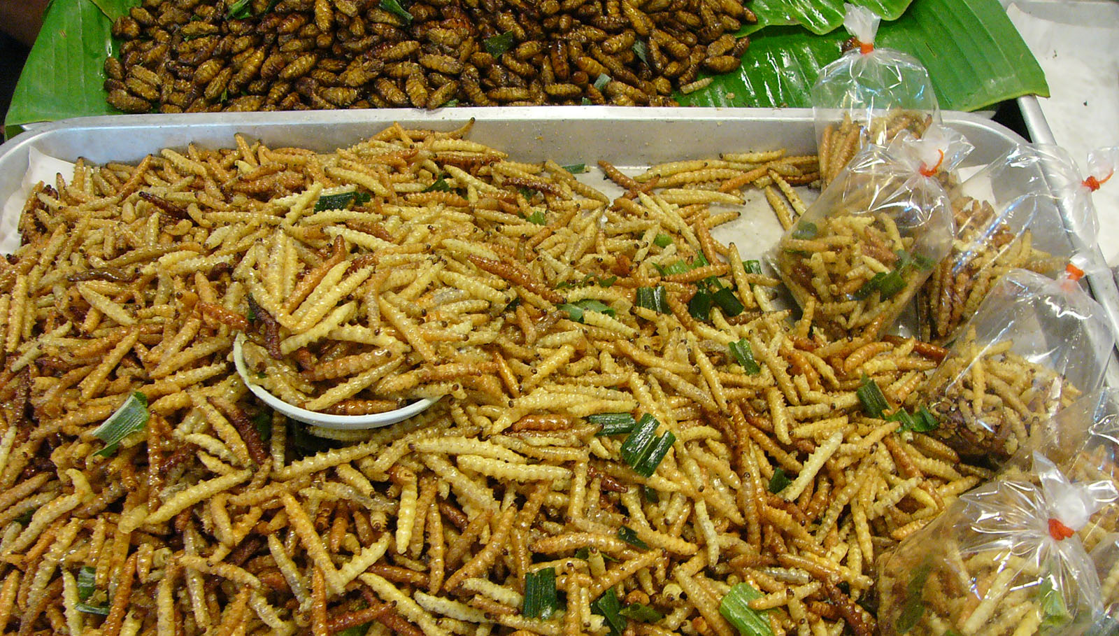 Insectos cocinados y preparados para su ingesta en un mercado chino