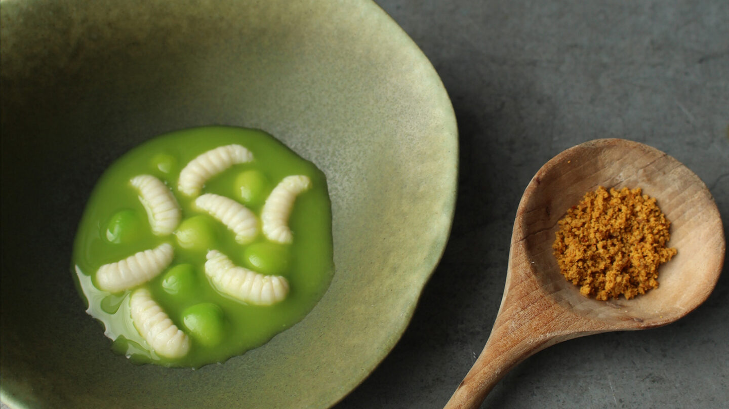 Sopa de guisantes con larvas de abeja, una receta del Nordic Food Lab.