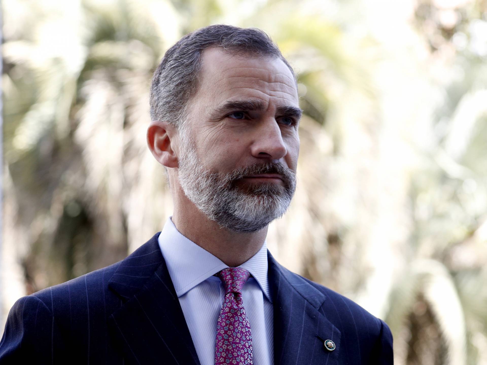 El Rey Felipe VI.