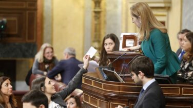 Podemos presenta un plan en todos los parlamentos para acelerar la lucha contra la corrupción