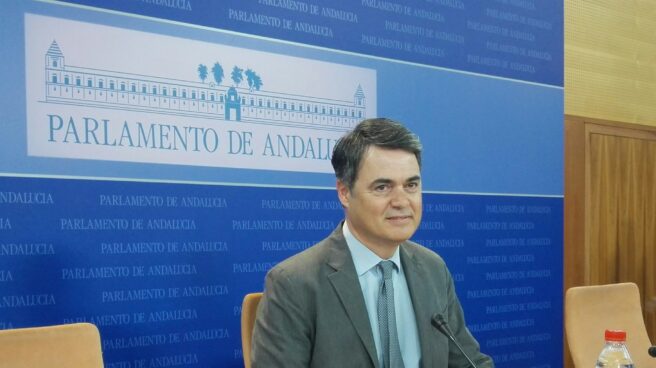 Carlos Rojas El diputado del PP, Carlos Rojas, durante la comparecencia.