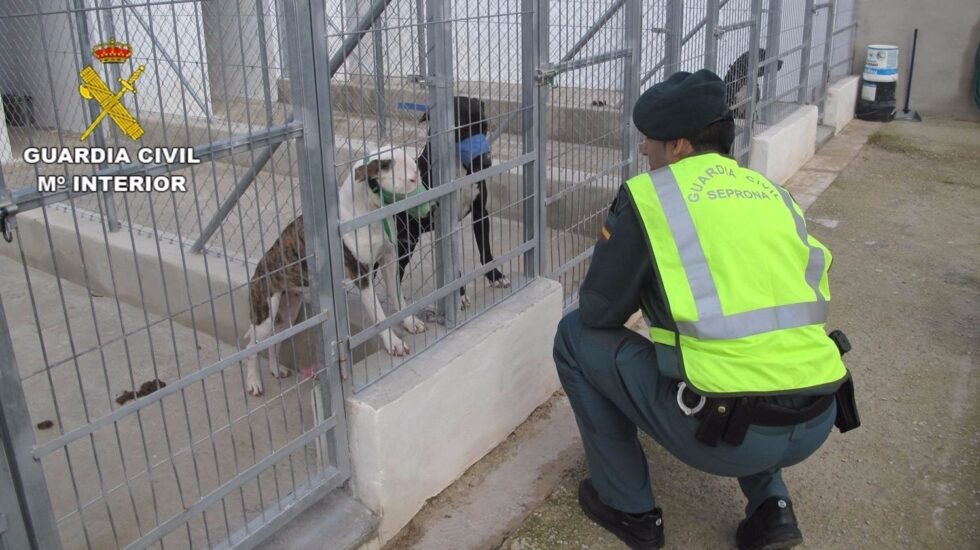 Agente de la Guardia Civil en una protectora de animales