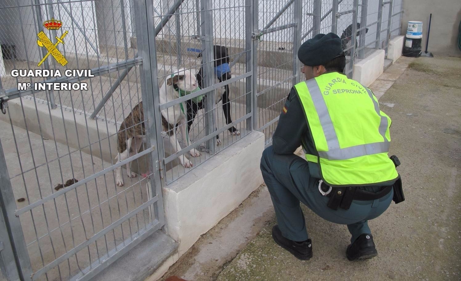 Agente de la Guardia Civil en una protectora de animales