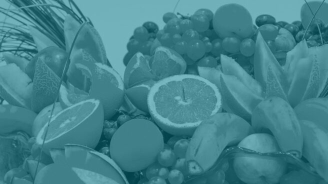 Alimentos