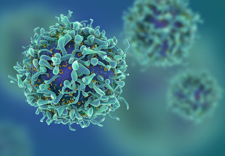 La primera inmunoterapia española se muestra eficaz ante algunos tipos de cáncer