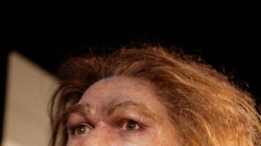 Un yacimiento de Burgos aportará datos de últimos neandertales en la meseta