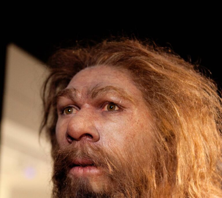 Un yacimiento de Burgos aportará datos de últimos neandertales en la meseta