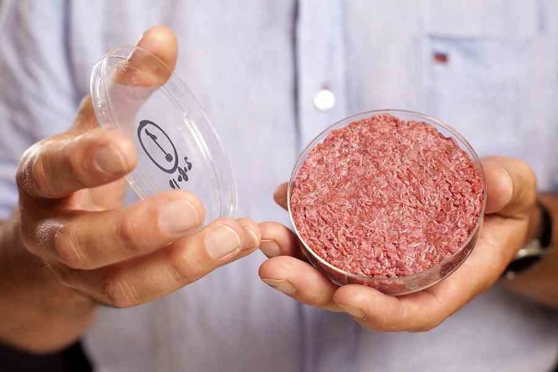 Resultado de imagen de start-up holandesa Mosa Meat  la carne producida in vitro