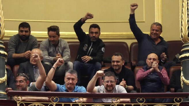 Una representación de los estibadores acudió al Congreso para asistir al Pleno donde se debate su futuro.