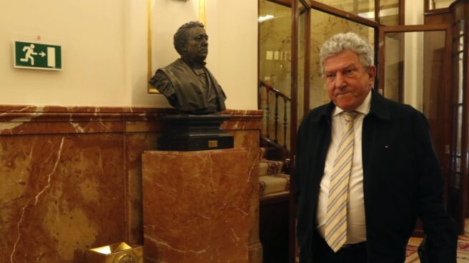 636263116546067022 El diputado de Nueva Canarias Pedro Quevedo, en el Congreso.