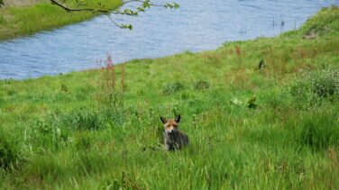El clima imprevisible provoca múltiples desajustes en la naturaleza