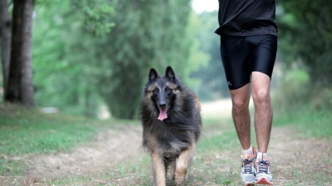 Perro y amo haciendo deporte juntos