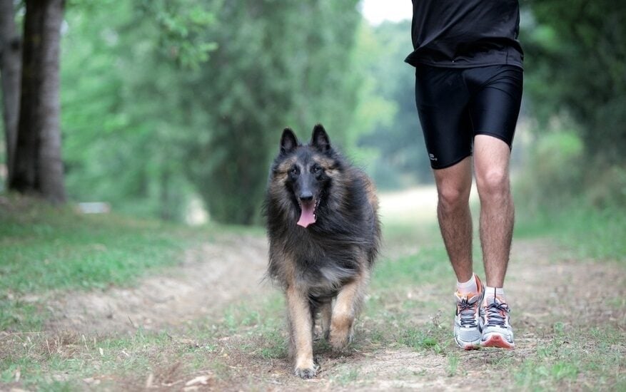 Perro y amo haciendo deporte juntos