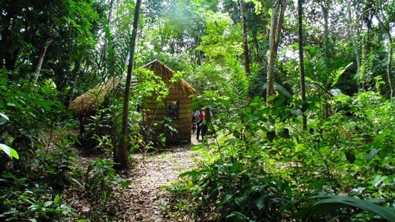 amazonia Selva Amazónica.
