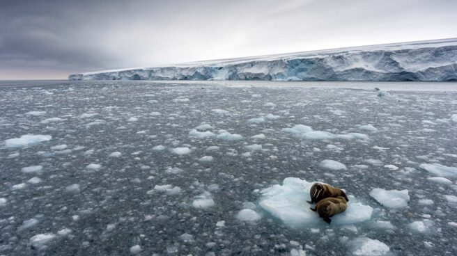 El hielo Ártico estuvo cerca del punto de fusión este invierno
