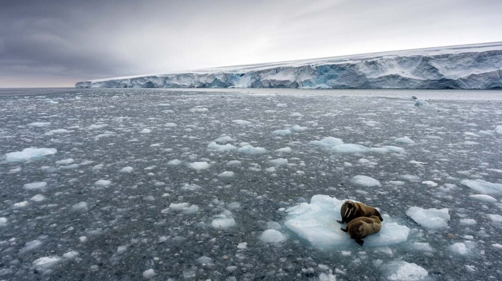 Cambio climático